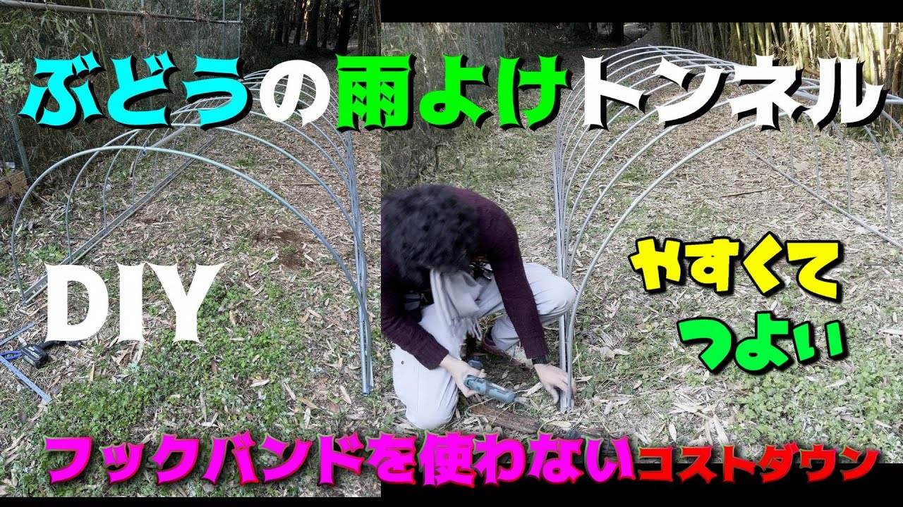 DIYでぶどうの雨よけトンネル工事、放熱しやすい工夫とコストダウン、ゆっくり解説でもぐだぐだ、フックバンドを１つも使わないハウスと害獣対策#ぶどう棚#雨除け#雨よけ#diy