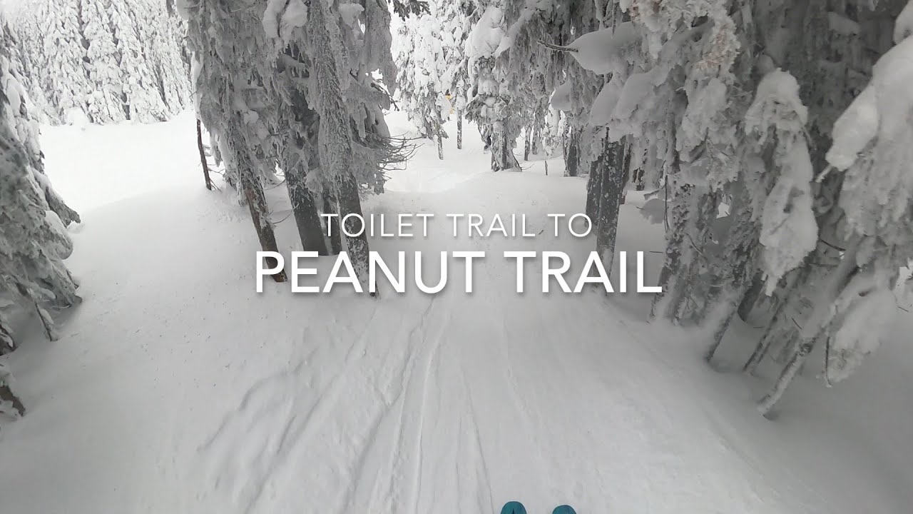 Silver Star Guided Ski Tour: Toilet Trail to Peanut Trail