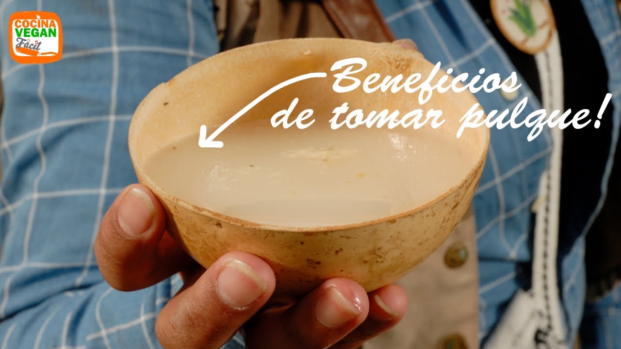 El pulque, una bebida energética, probiótica y ancestral con beneficios para la salud.