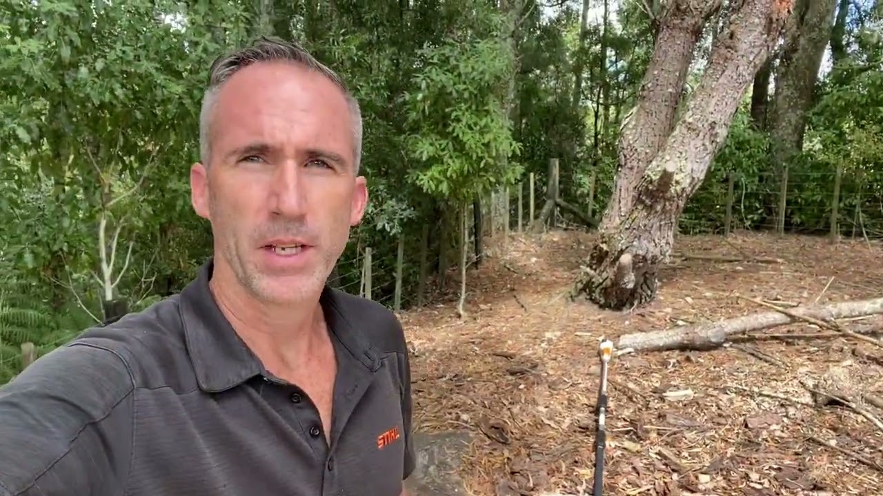 STIHL Pole Pruner vs Chainsaw