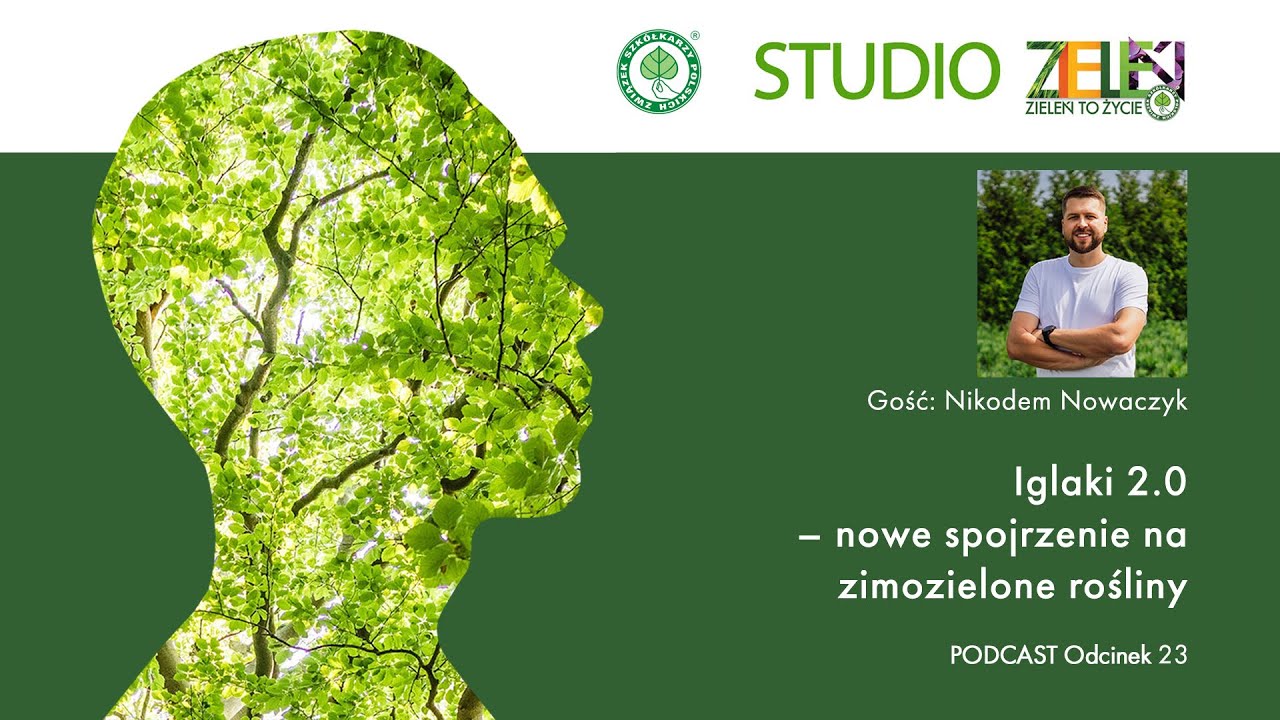 Iglaki 2.0 &ndash; nowe spojrzenie na zimozielone rośliny Gość: Nikodem Nowaczyk