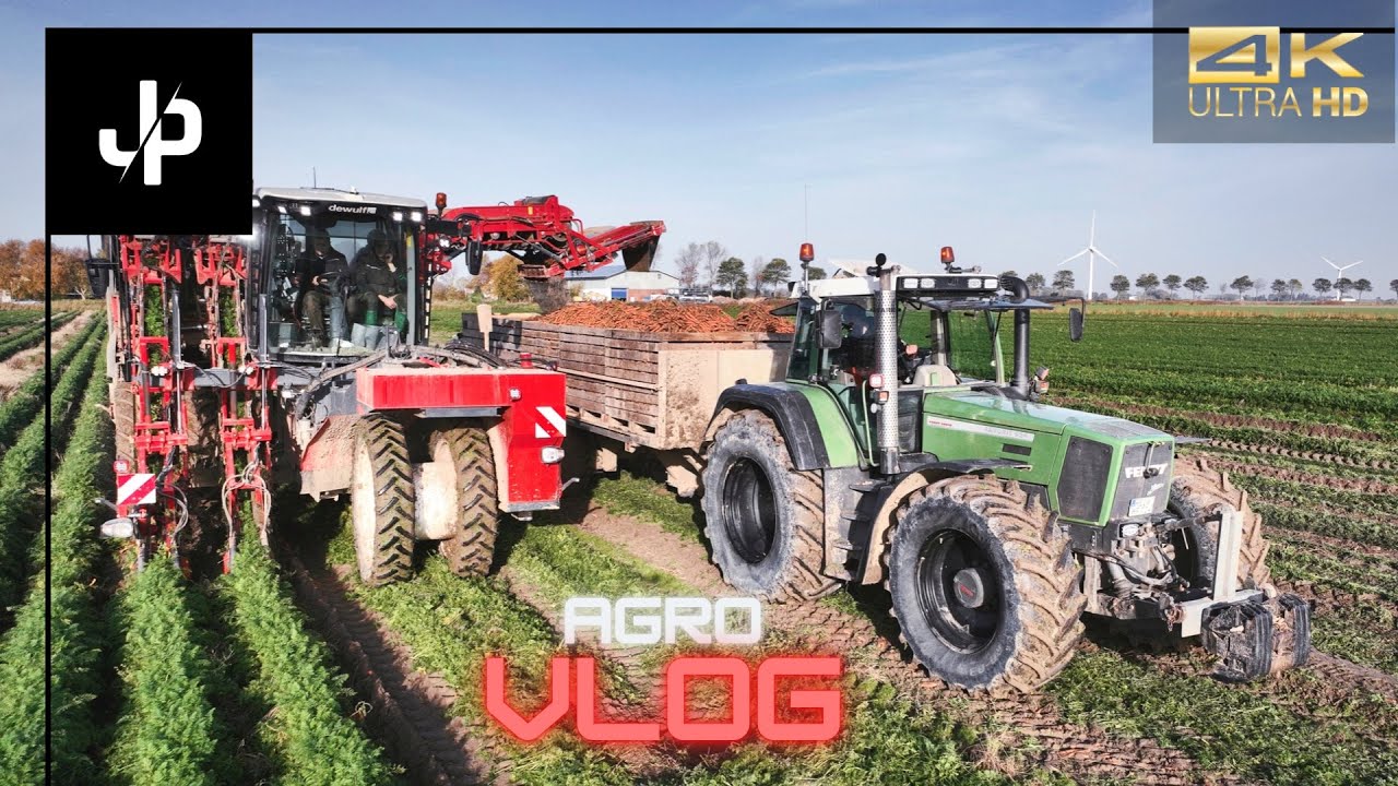 Möhren Ernte 2022 wie geht das? Fendt/Case Agrovlog #13 ||  JP Agrar