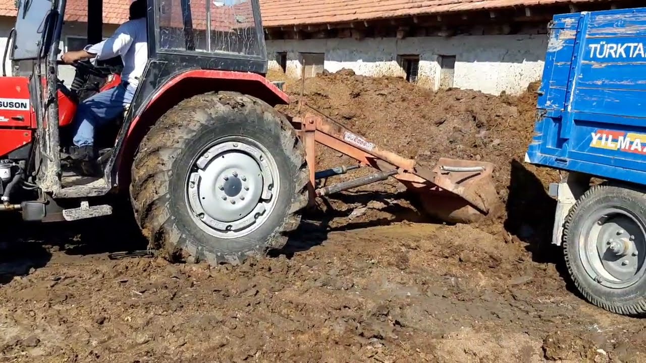 Yeni lastiklerle kemre işi Massey ferguson 3060 ile #masseyferguson 