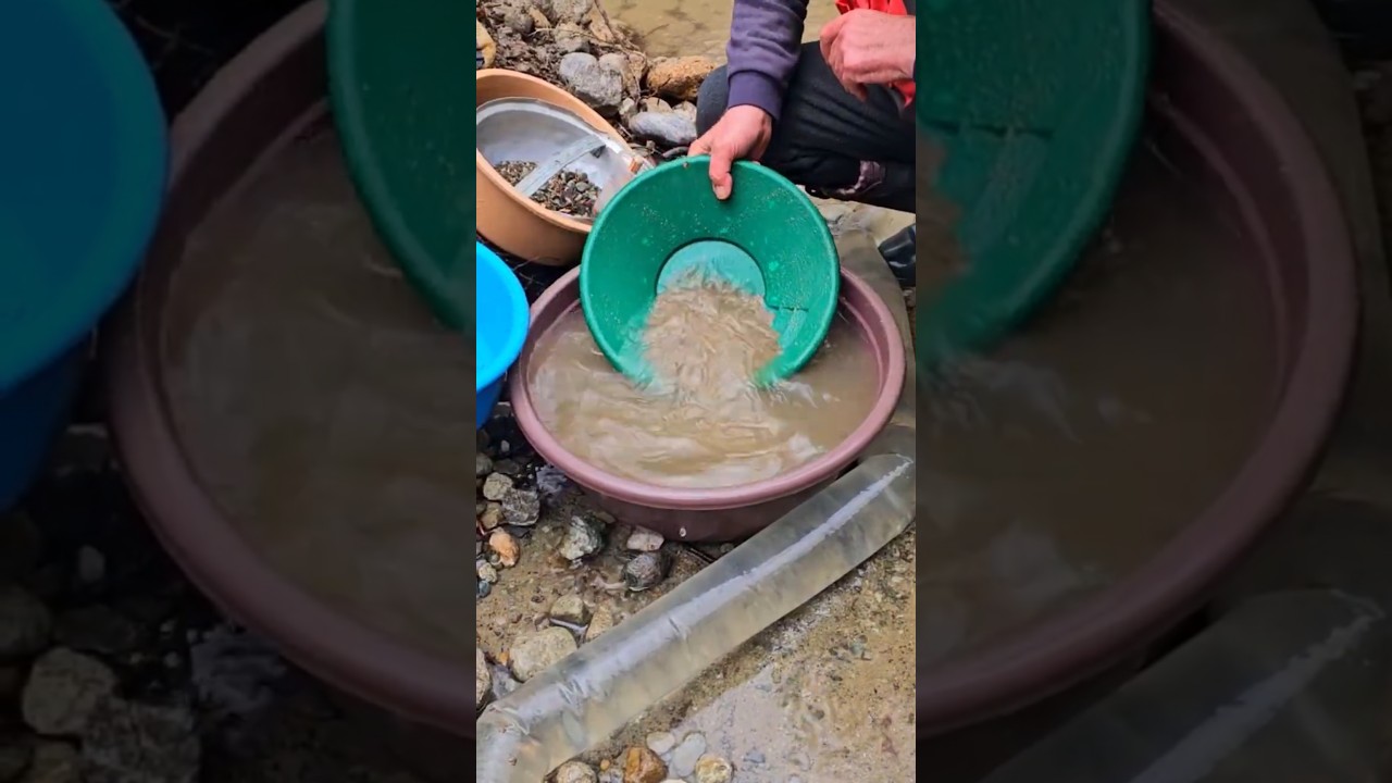 Gold Rush Massive Gold Reserves Discovered in This Riverbed #goldrush  #altinavcisi1