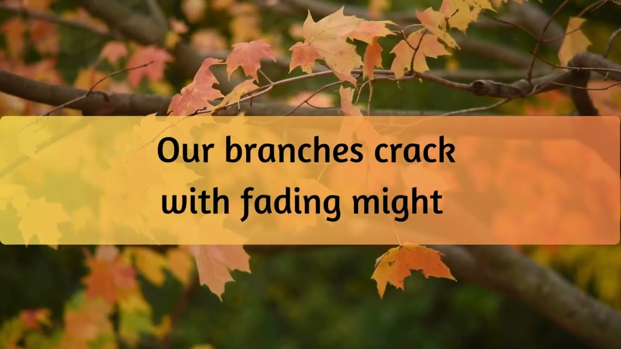 Autumn Leaves Lyrics Video