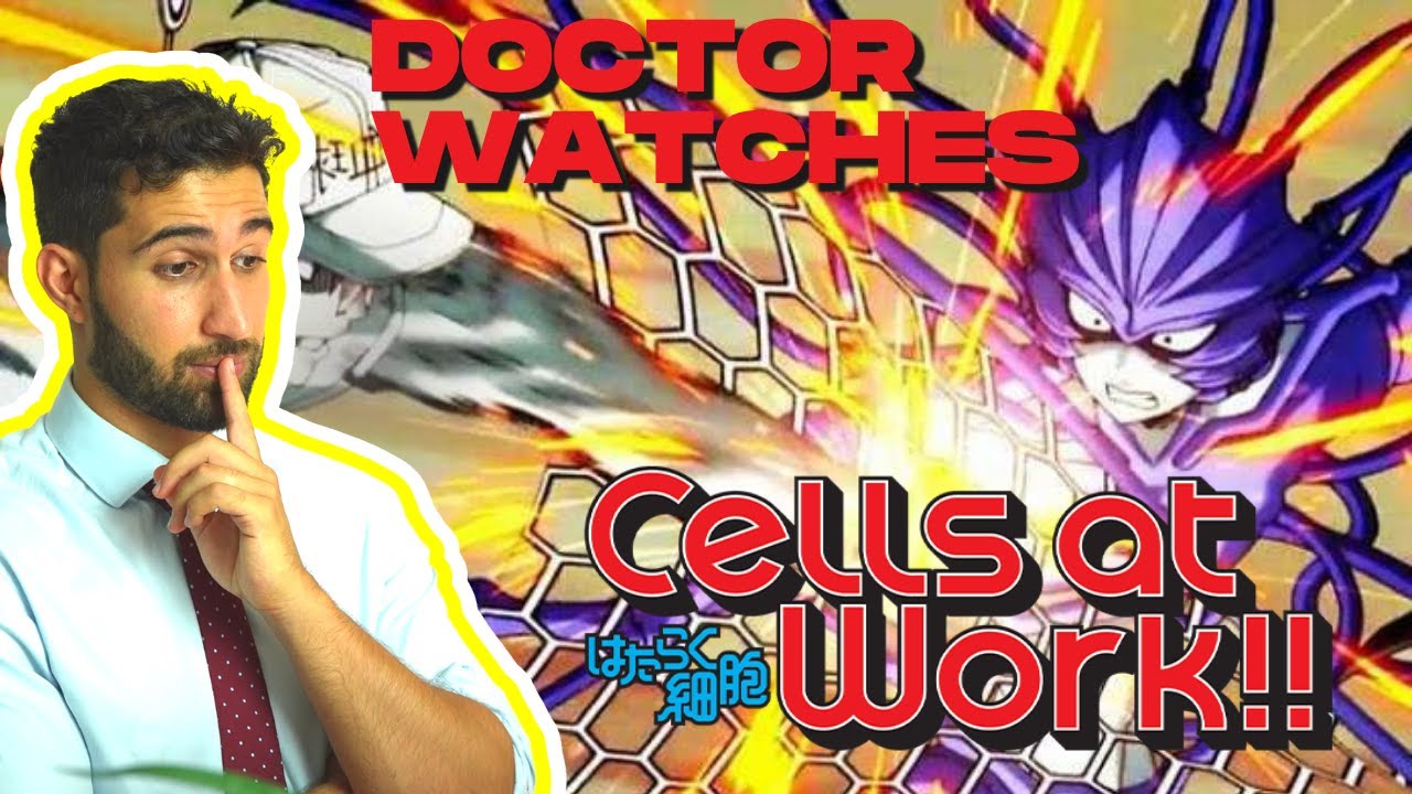 British Doctor Reacts to Cells At Work Season 1 Episode 1 [2023]