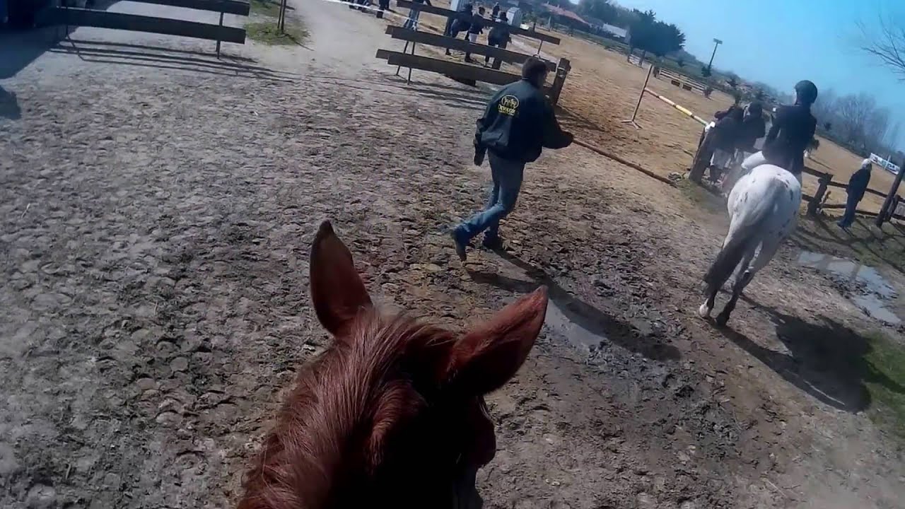GO PRO : Concours Villedoux 13 03 16 avec Misty du Gu&eacute;