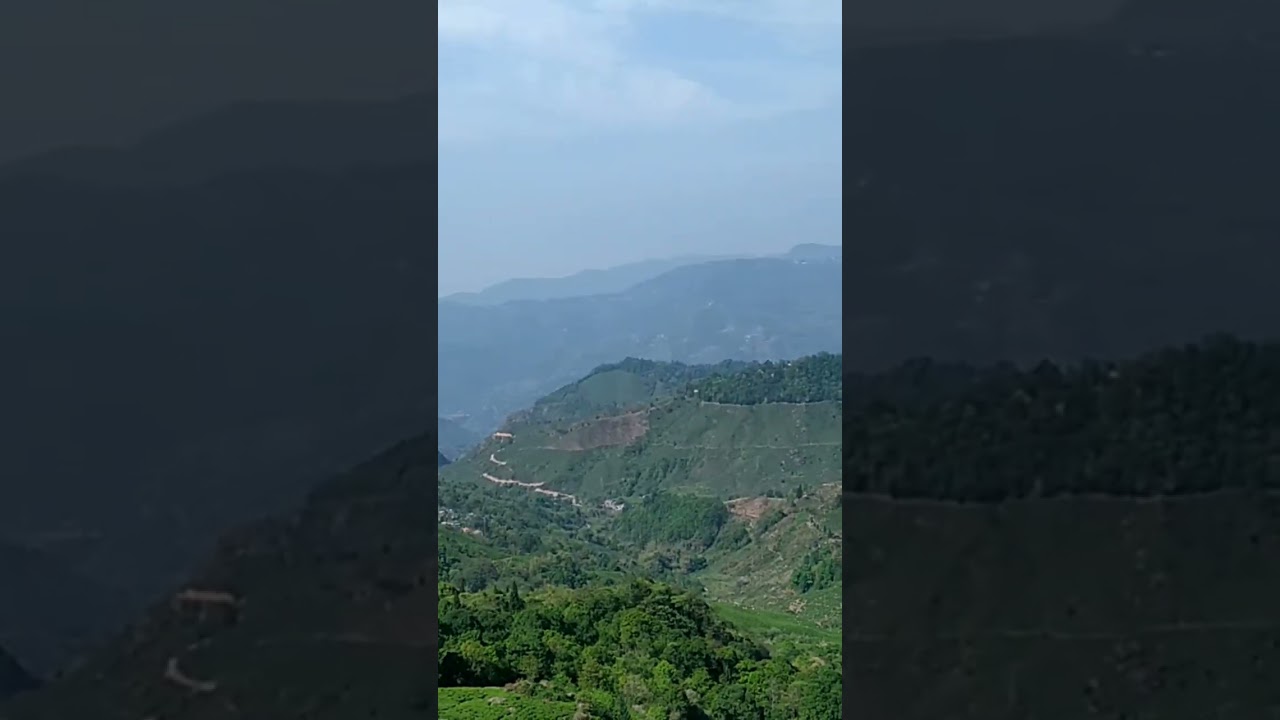 Margaret's Deck tea lounge# Kurseong # Tung # Goodricke tea pot