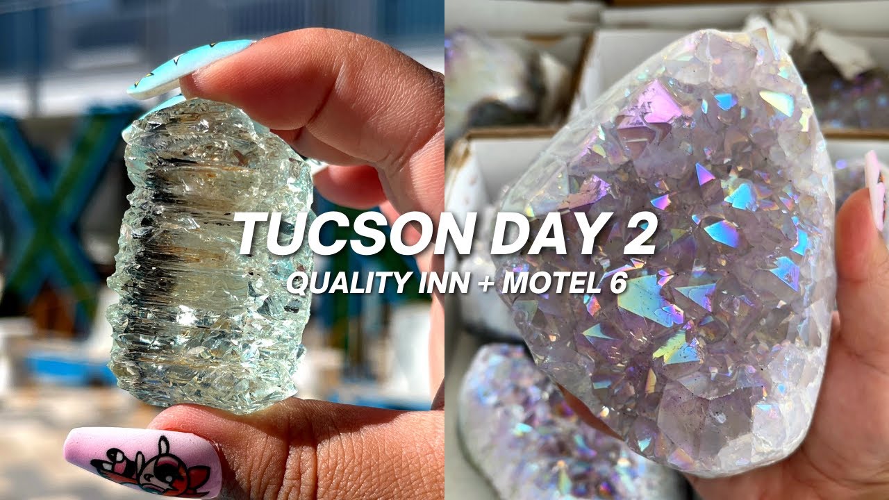 TUCSON GEM AND MINERAL SHOW  2023 | VLOG DAY 2 | QUALITY INN & MOTEL 6!