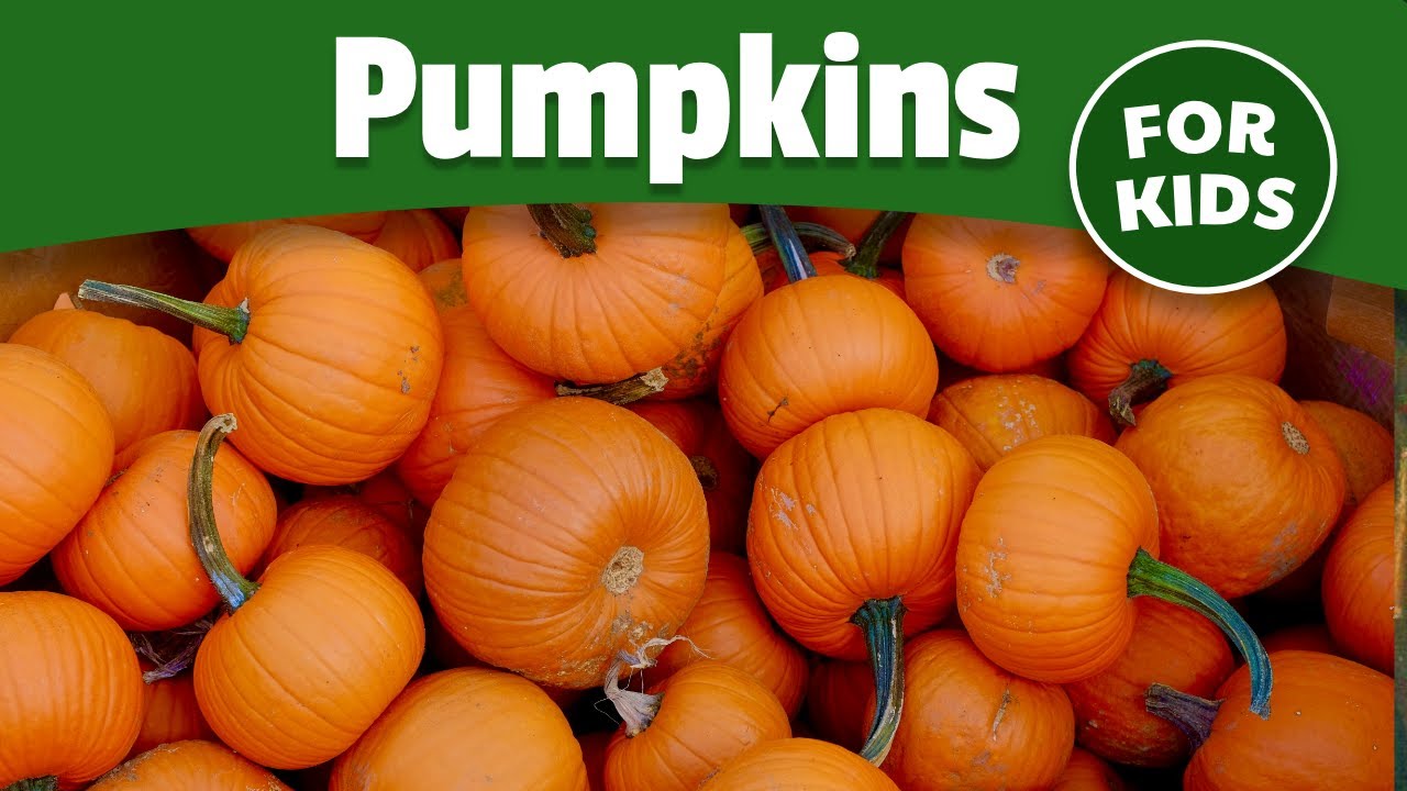История тыкв для детей