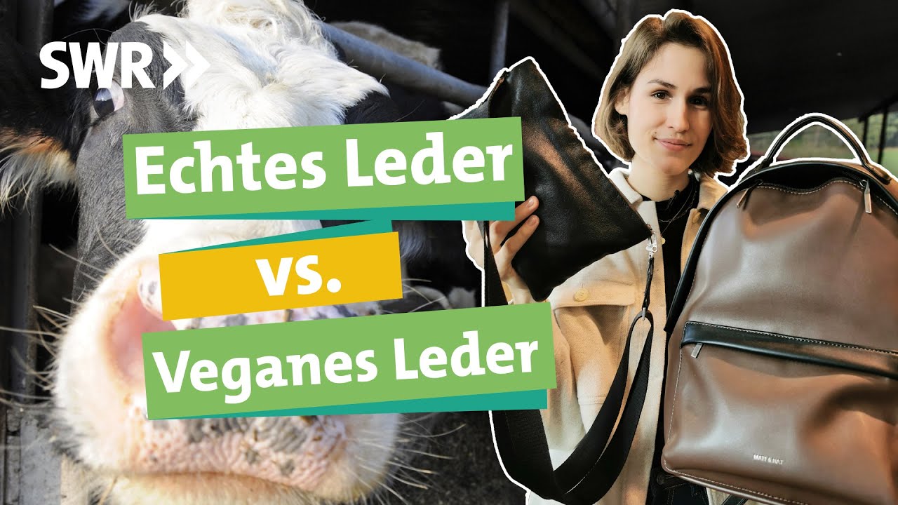 Veganes Leder aus Bakterien: Was können Echt-Leder-Alternativen? I Ökochecker SWR