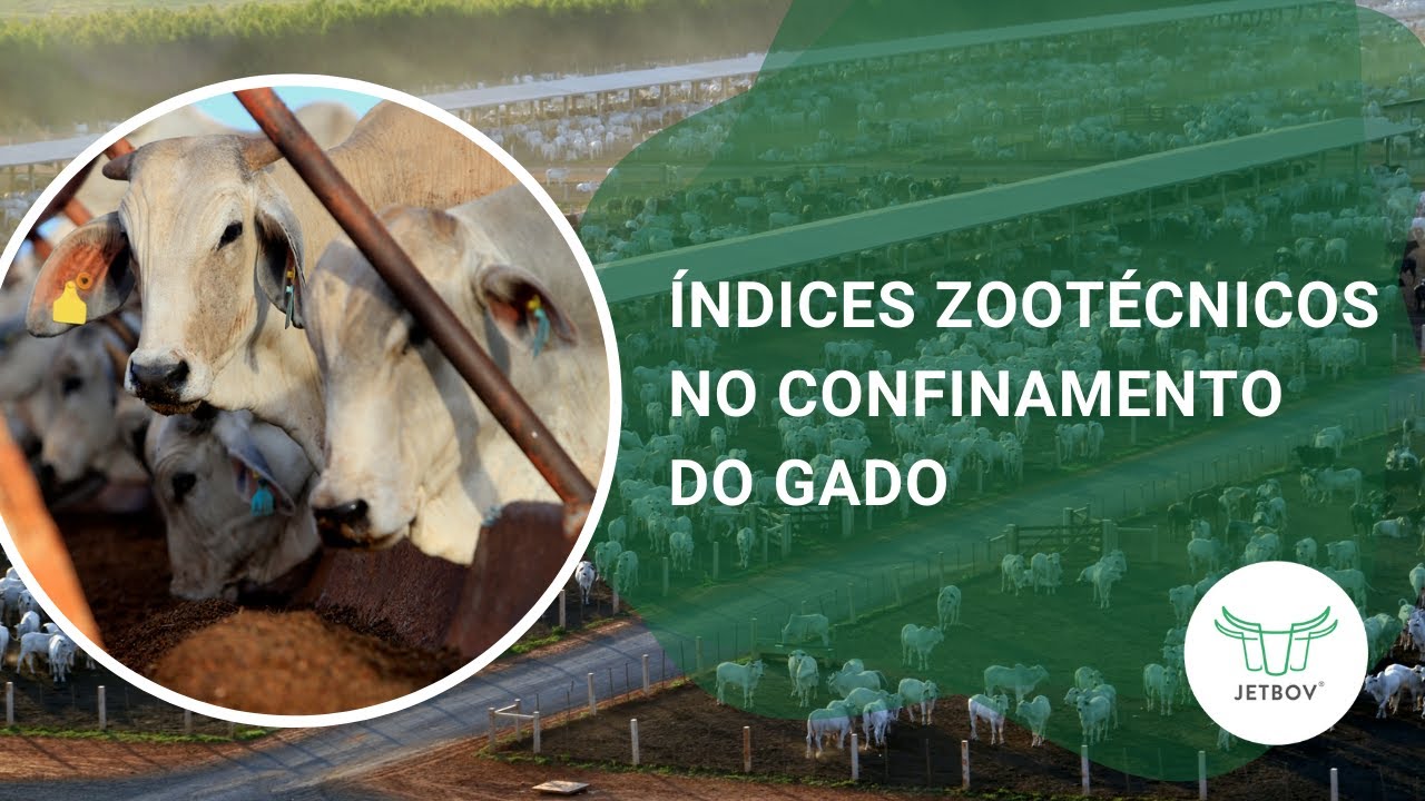 Especialista JetBov - Índices Zootécnicos