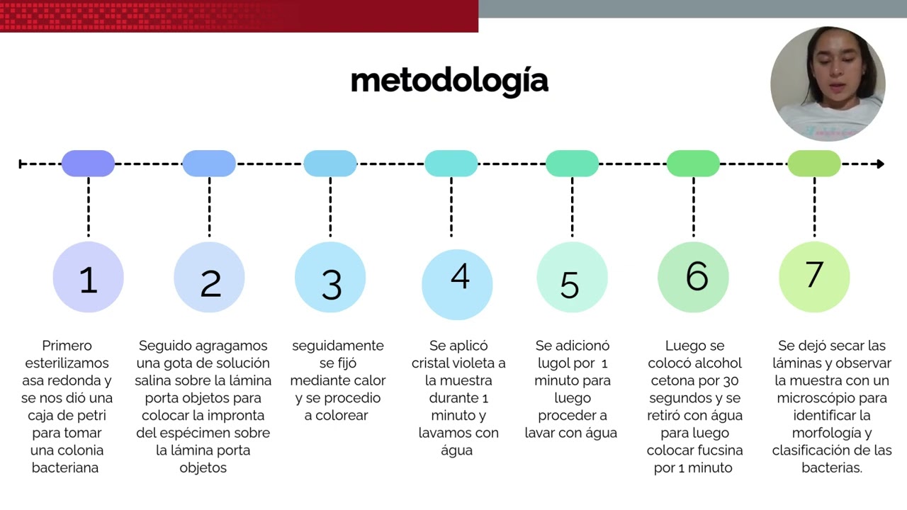 Tinción de Gram
