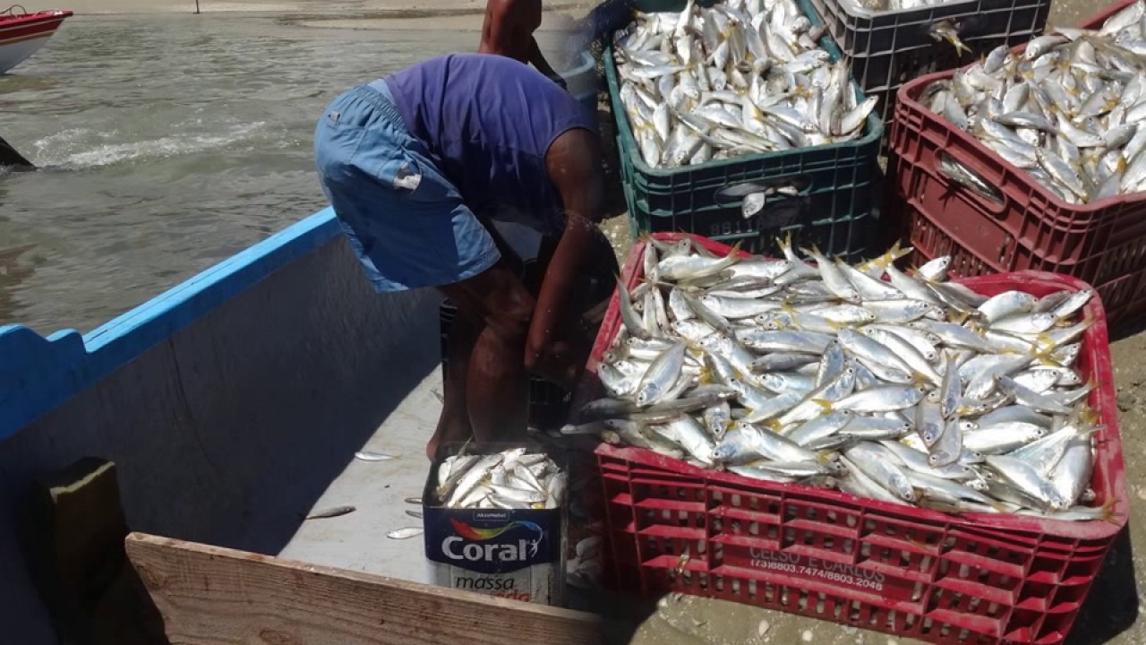 O olhar da pesquisadora sobre o povoado de Conceição de Salinas!