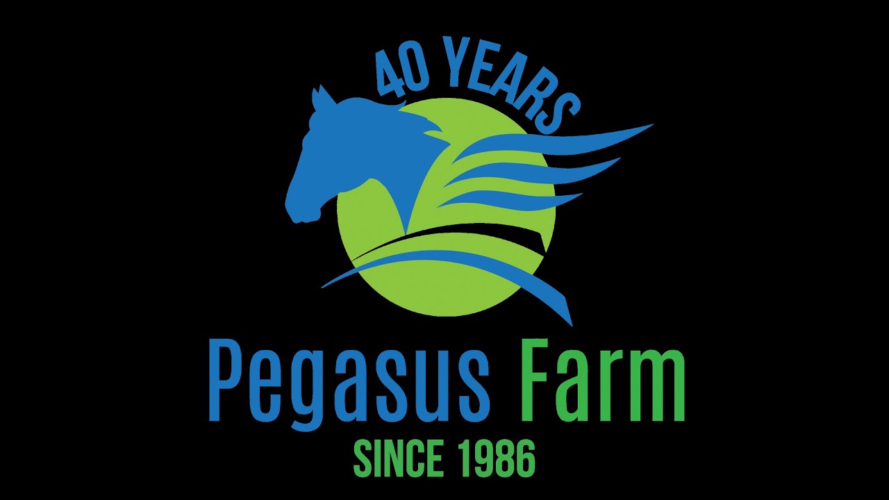 Pegasus Farm - 40 Years Forward