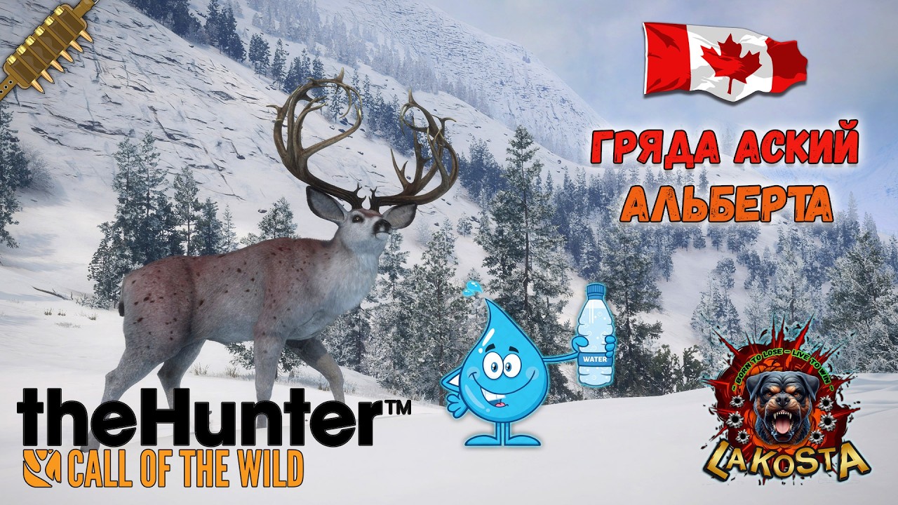 #SHORTS ПОИСК ВОДОПОЕВ ЧЕРНОХВОСТОГО ОЛЕНЯ