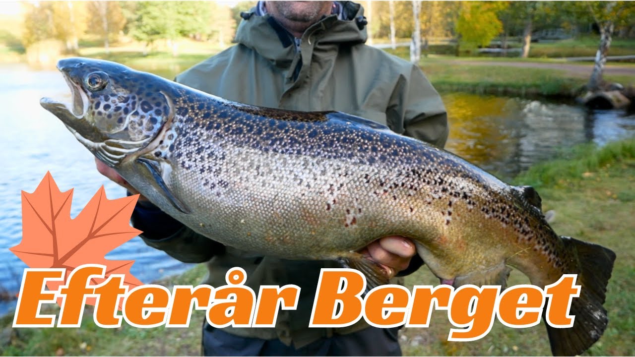 TRYKBØLGER OG STORE REGNBUER OG LAKS// Efterår i Berget Sportfiske