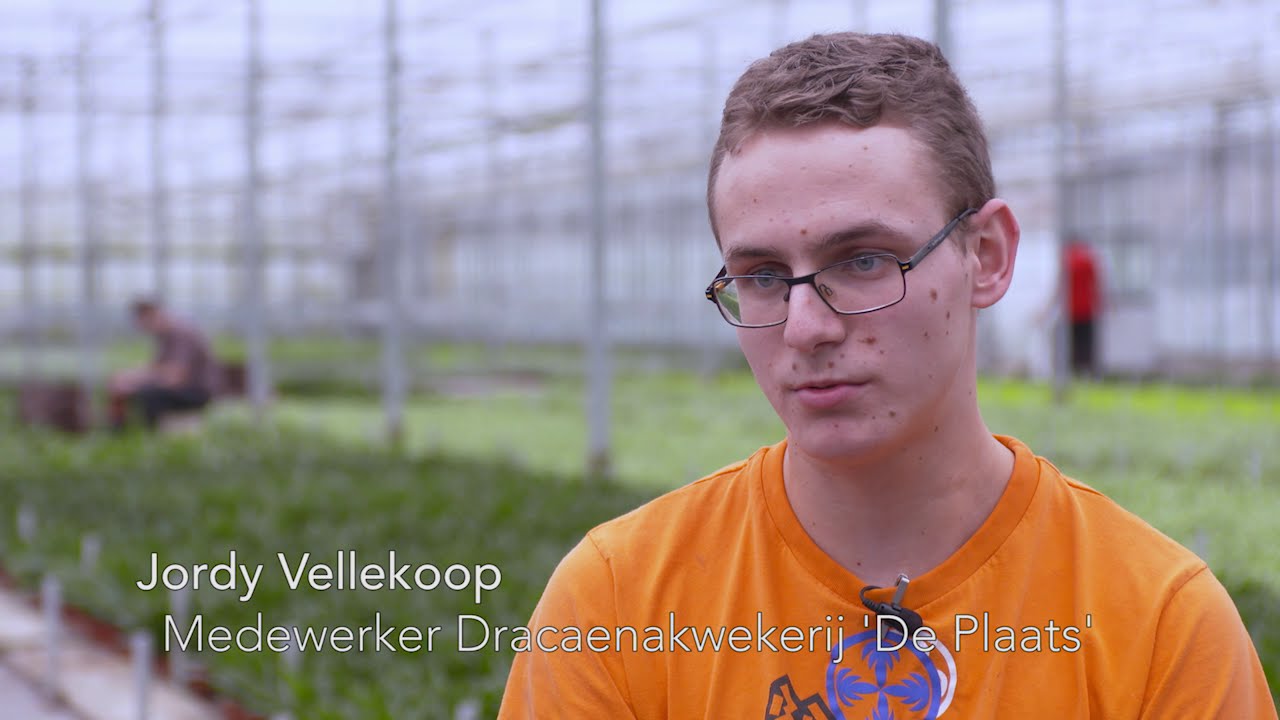 Kwekerij De Plaats geeft mensen met een arbeidsbeperking een werkplek