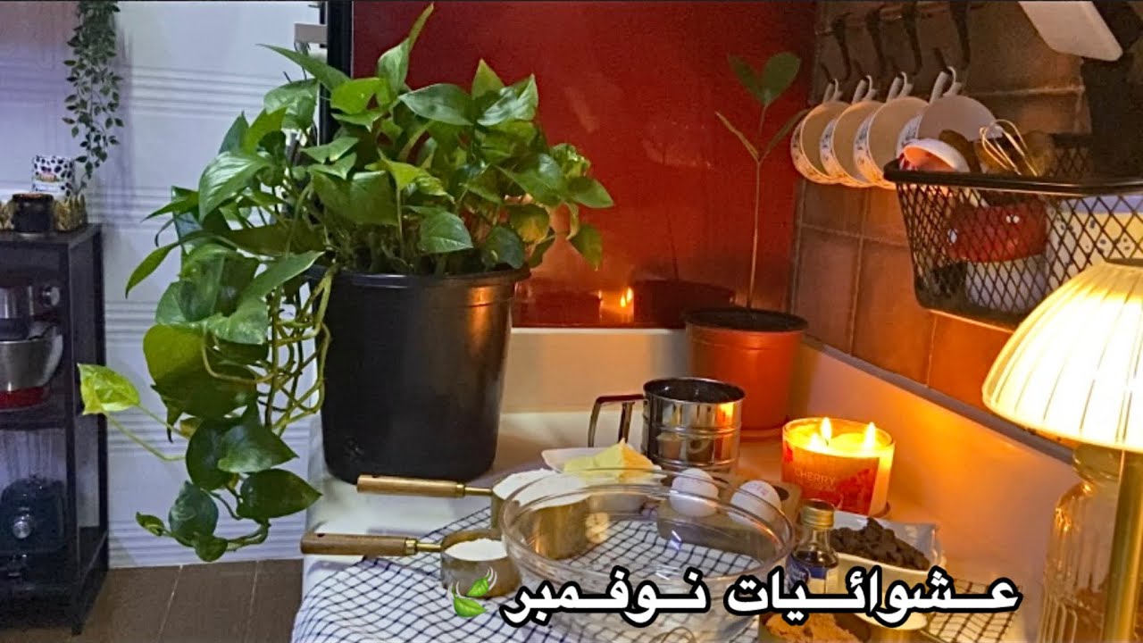 عشوائيات نوفمبر✨. كوكيز لذيذ🍪. قهوة☕️. تنظيف ركن القهوة . أجواء بارده❄️. ترتيب السرير🛏️