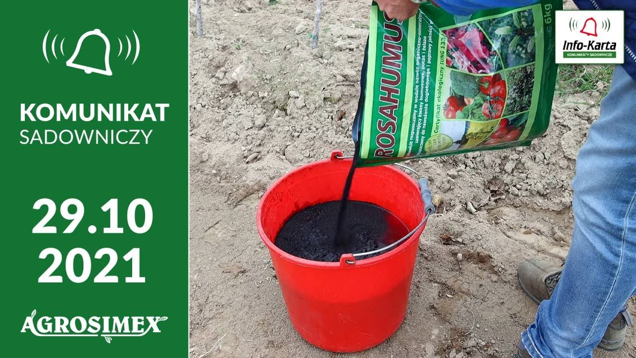Nawożenie kwasami humusowymi bezpośrednio po zbiorach - Komunikat sadowniczy Agrosimex
