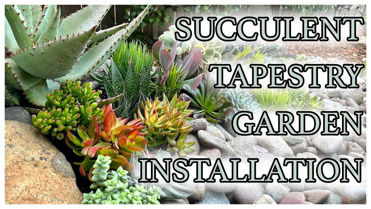 Planting a Succulent Jewel Garden | Succulent Tapestry Installation