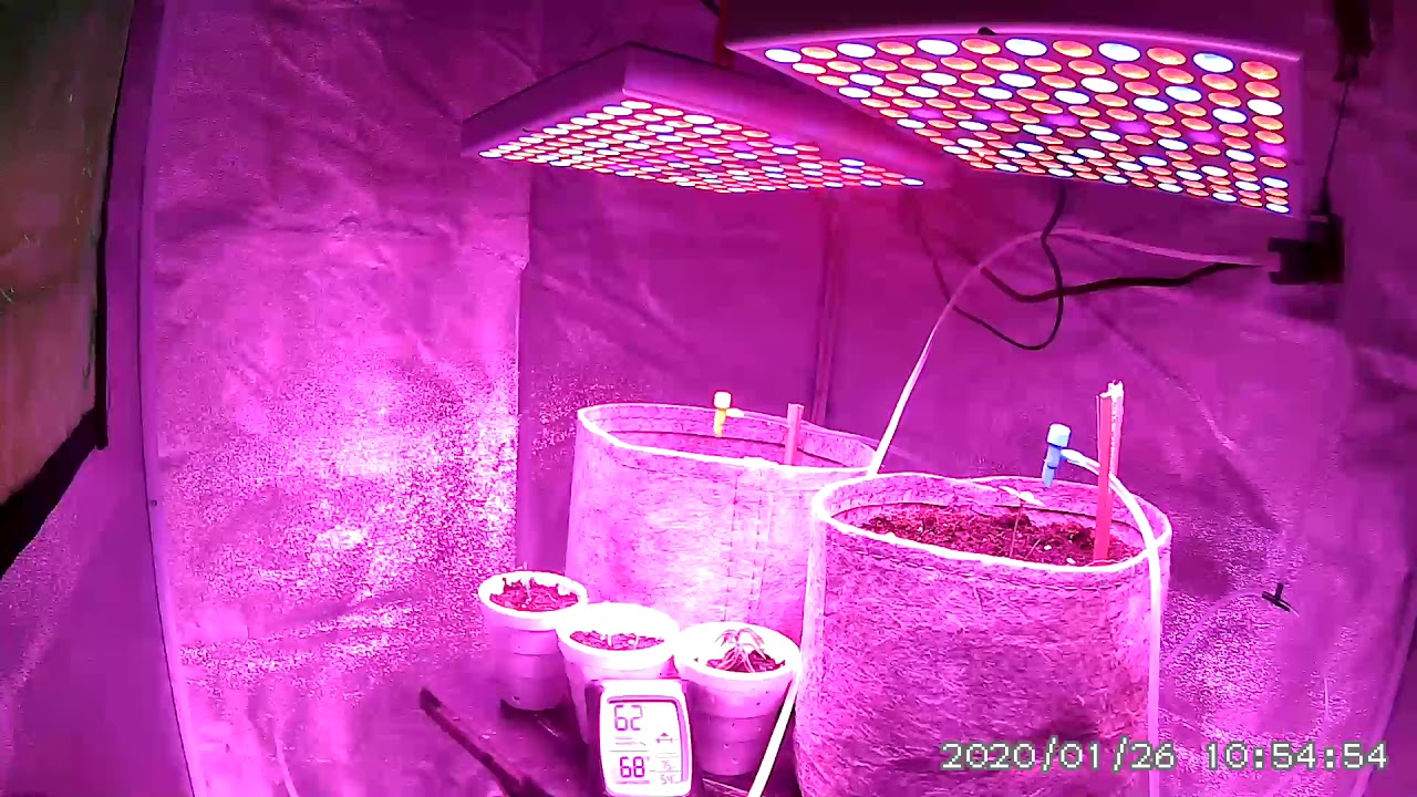 Mi primer indoor