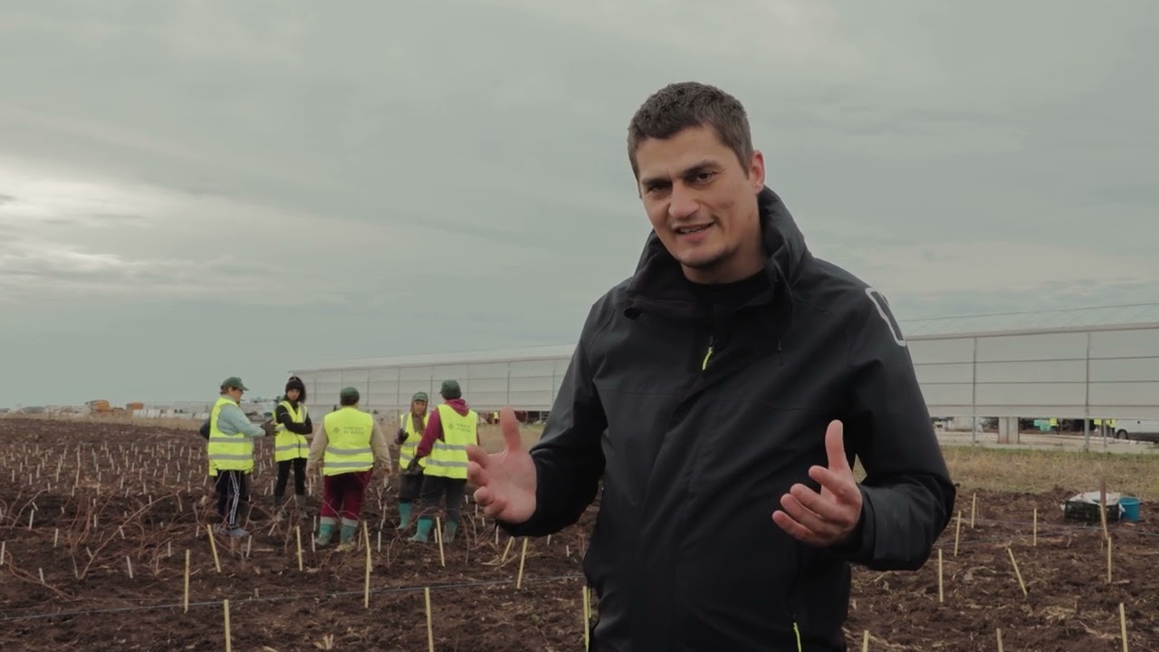 Primul sistem agroforestier susținut de Fundația Pădurea de Mâine