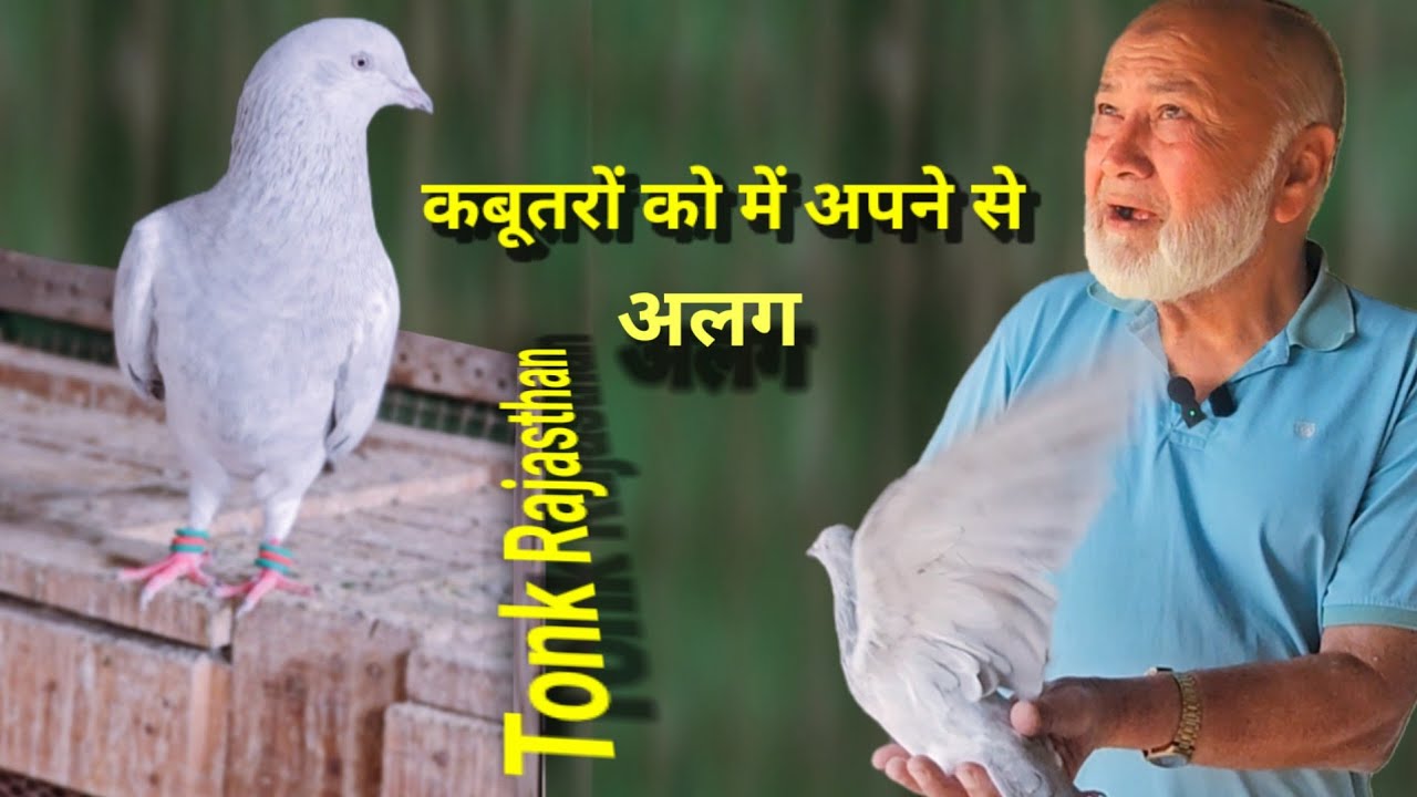 कबूतरों को में अपने से अलग| Kabootar Ko Main Apne Se Alag | Tonk Ke Kabootar by Rizwan Ali Sabri