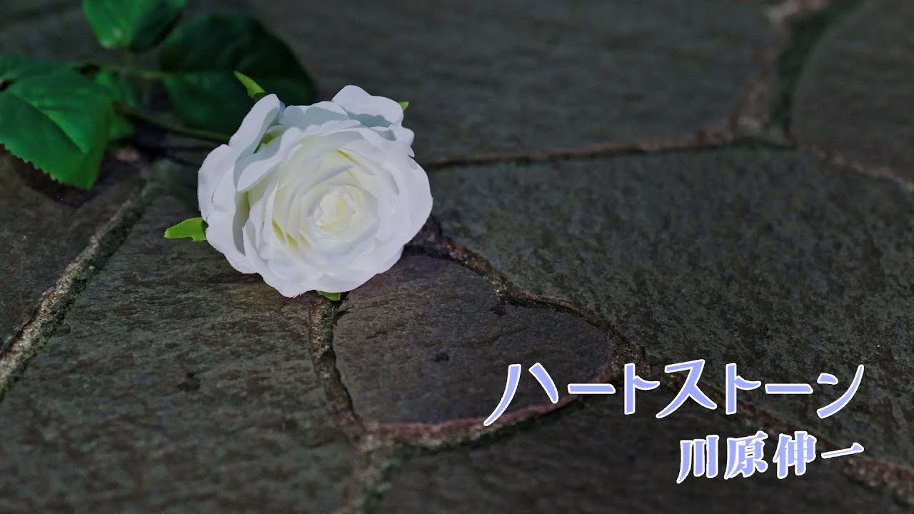 川原伸一「ハートストーン」MUSIC VIDEO
