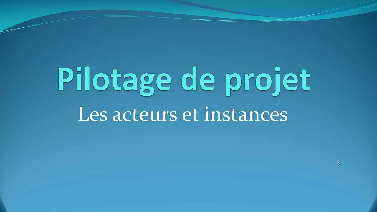 Les acteurs et instances décisionnelles d'un projet - Pilotage de projets