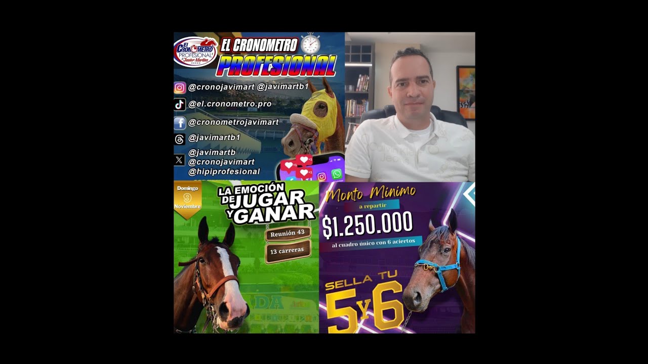 HIPISMO PROFESIONAL DOMINGO 09/11/2025