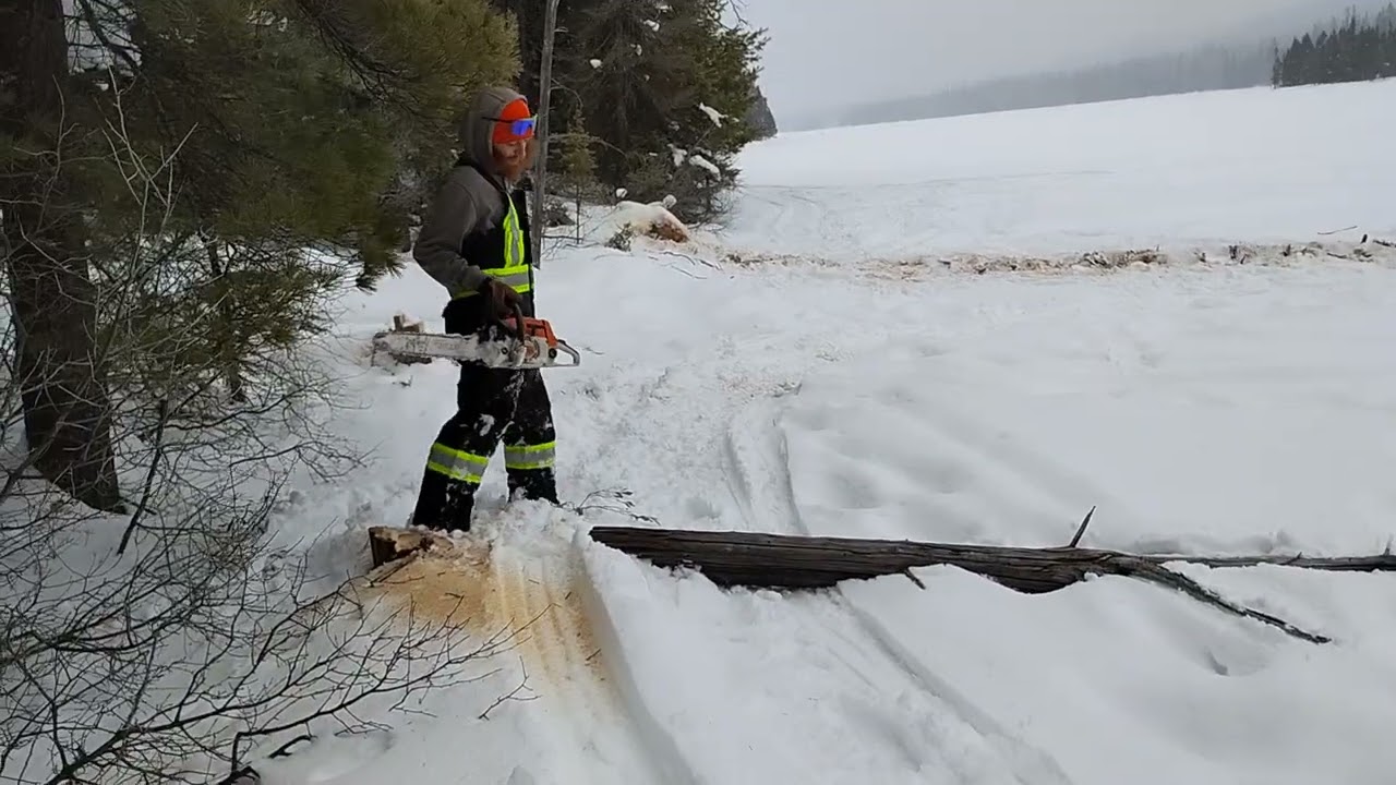 Lets get some firewood he said, itll be fun he said...