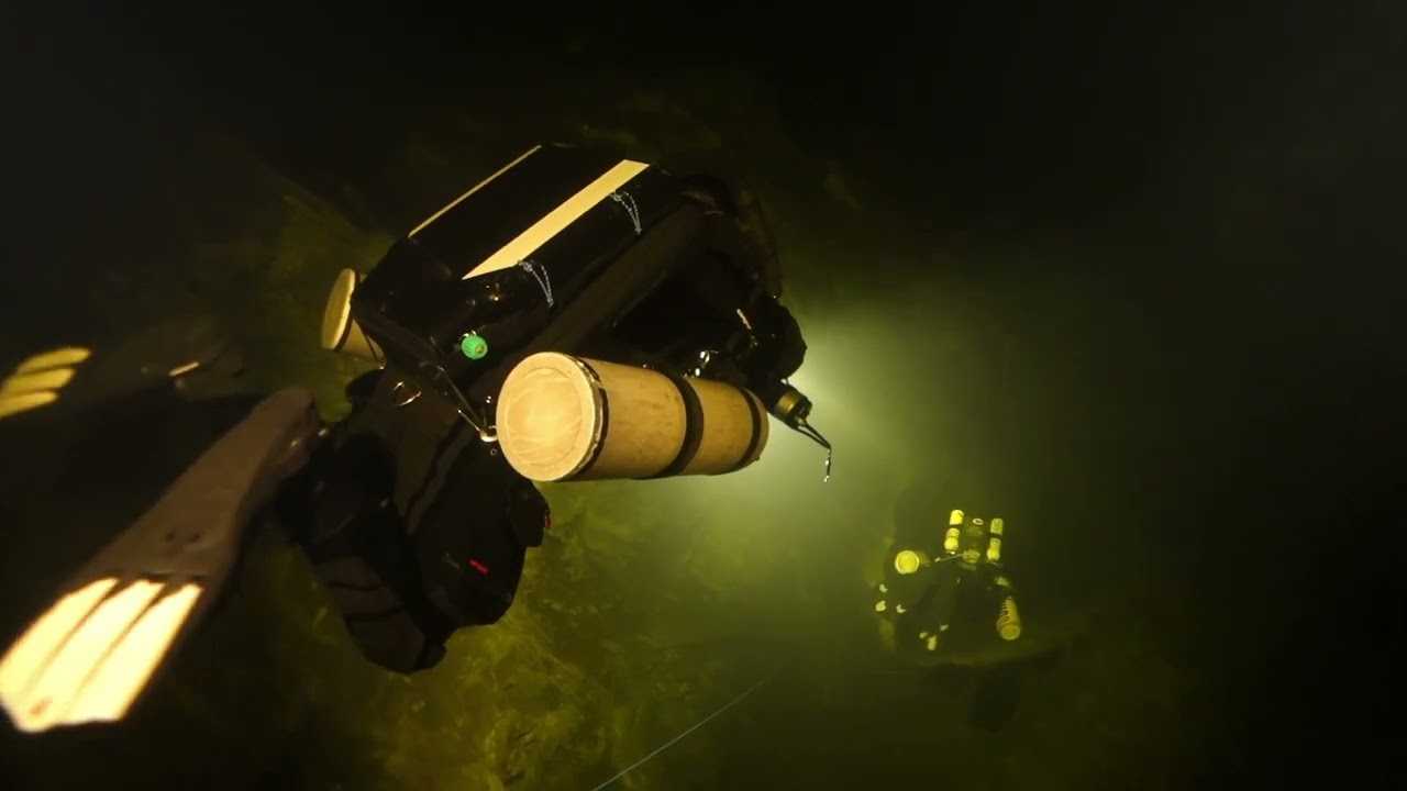 Father's day dive