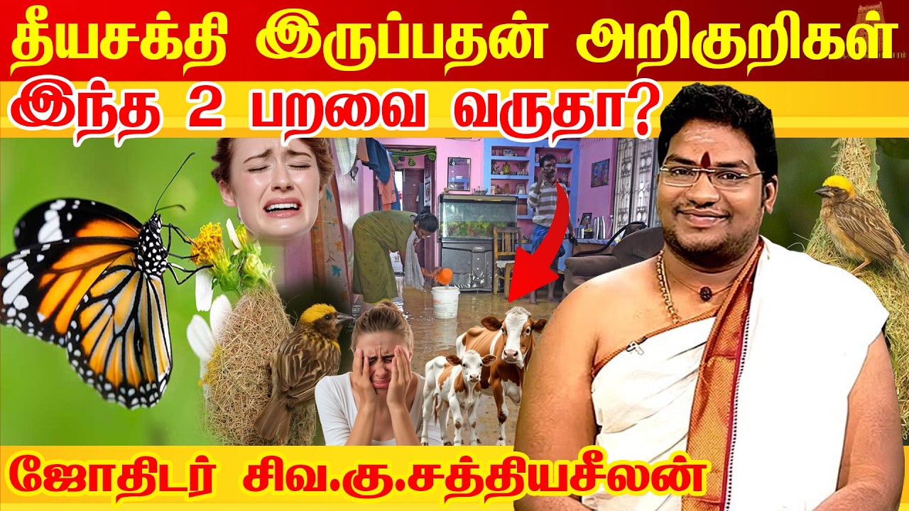 எச்சரிக்கை 😲இந்த 8 அறிகுறிகள் வீட்டில் இருந்தால் தீய சக்திகள் கண்டிப்பாக இருக்கும் Negative Energy 😱