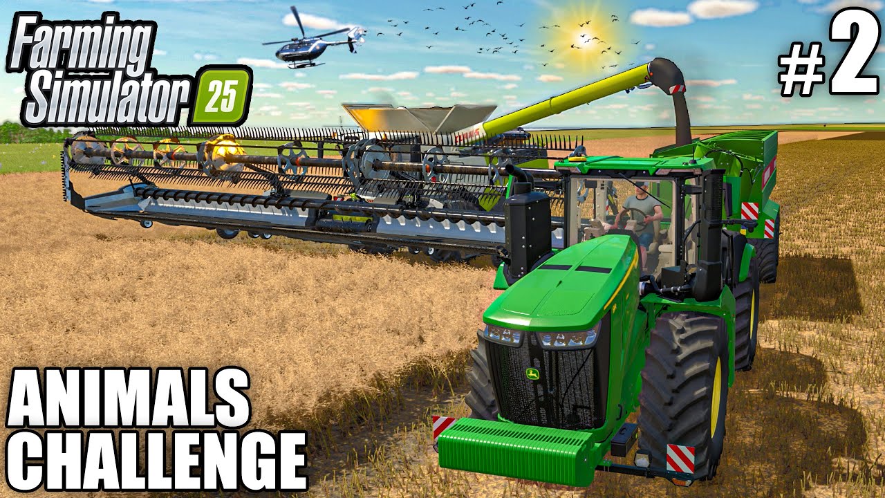 FIRST BIG CANOLA HARVEST | ANIMALS Challenge - Episode 2 | Farming Simulator 25