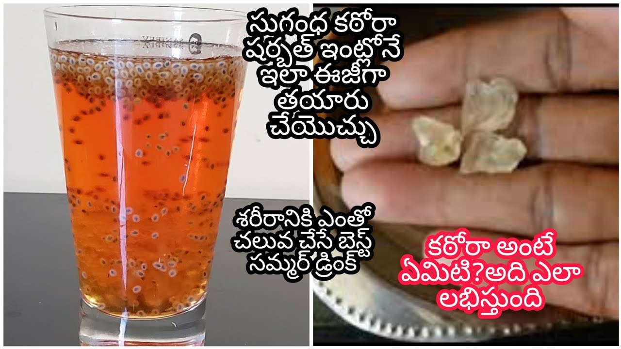 Sugandha katora sharbath preparation/సుగంధ కఠోరా షర్బత్/Nannari/కఠోరా అంటే ఏమిటి?అది ఎలా లభిస్తుంది