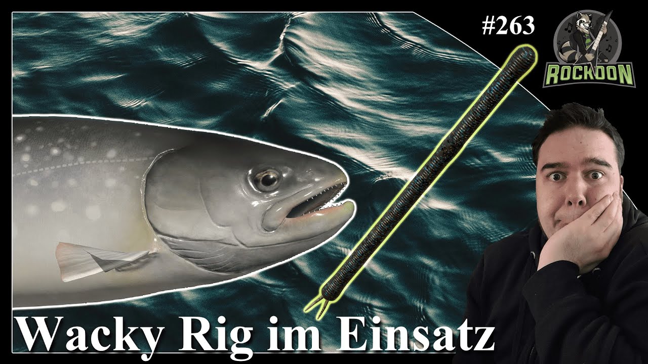 UL & Wacky Rig - Spot | Ladoga Archipel | Russian Fishing 4 | #koontainment