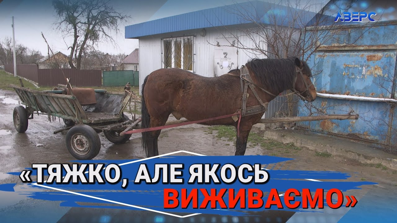 Жити все важче, але й у місто не хочеться: реалії сьогодення села Житані