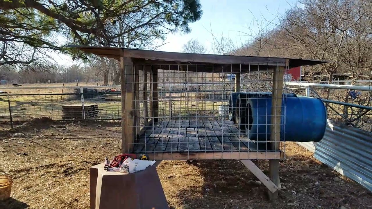 Off Ground Dog Kennel