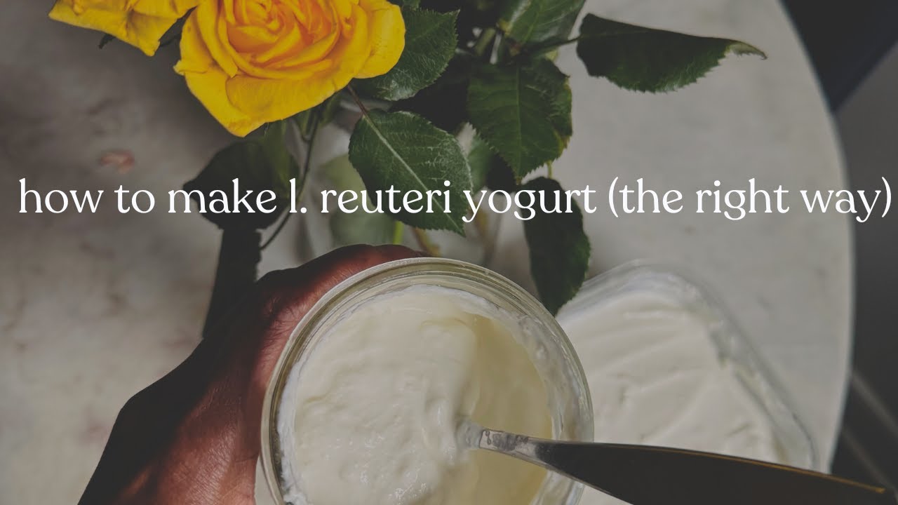 making L. Reuteri Yogurt? don’t make these mistakes (step by step guide)