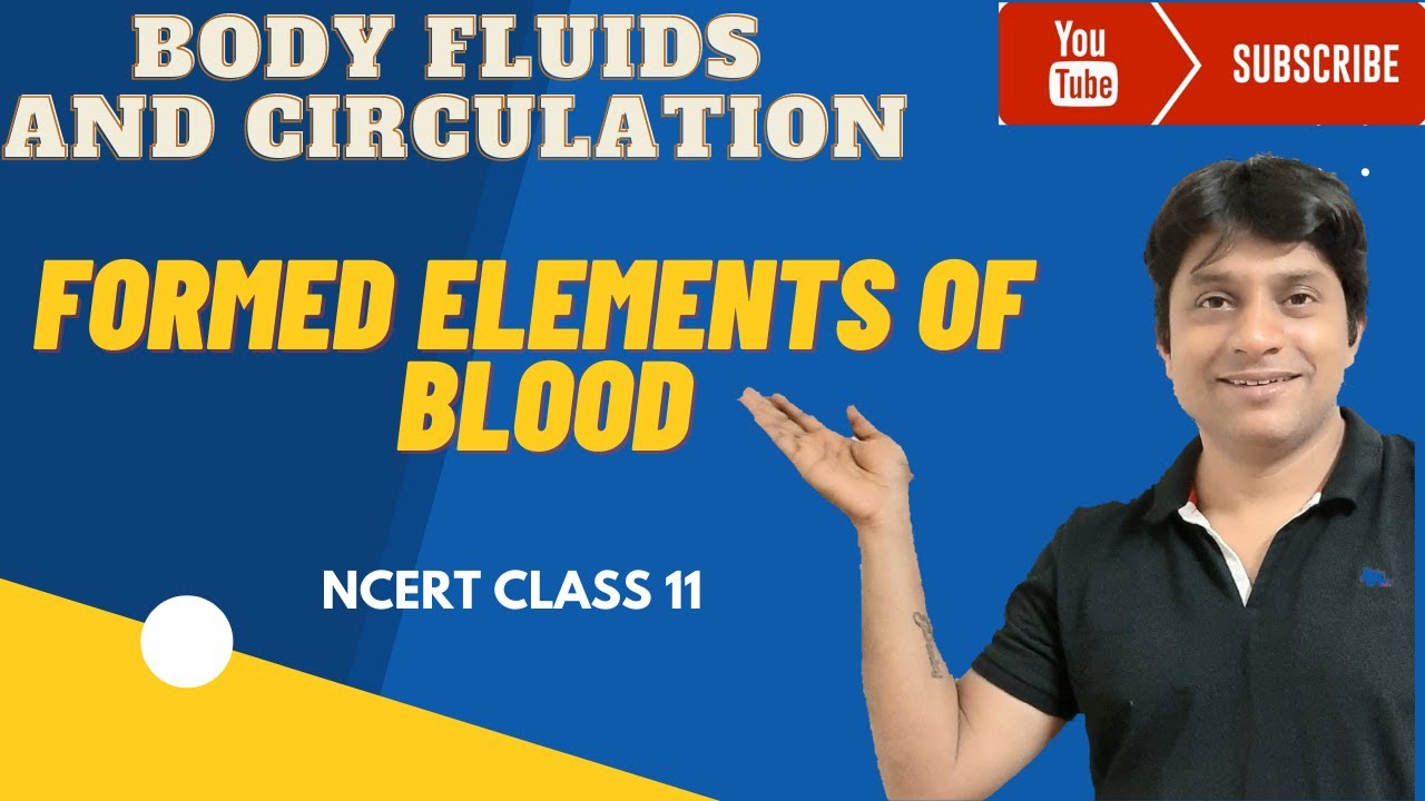 Formed Elements and Their Functions| Body Fluids And Circulation| class 11th NCERT| NEET |