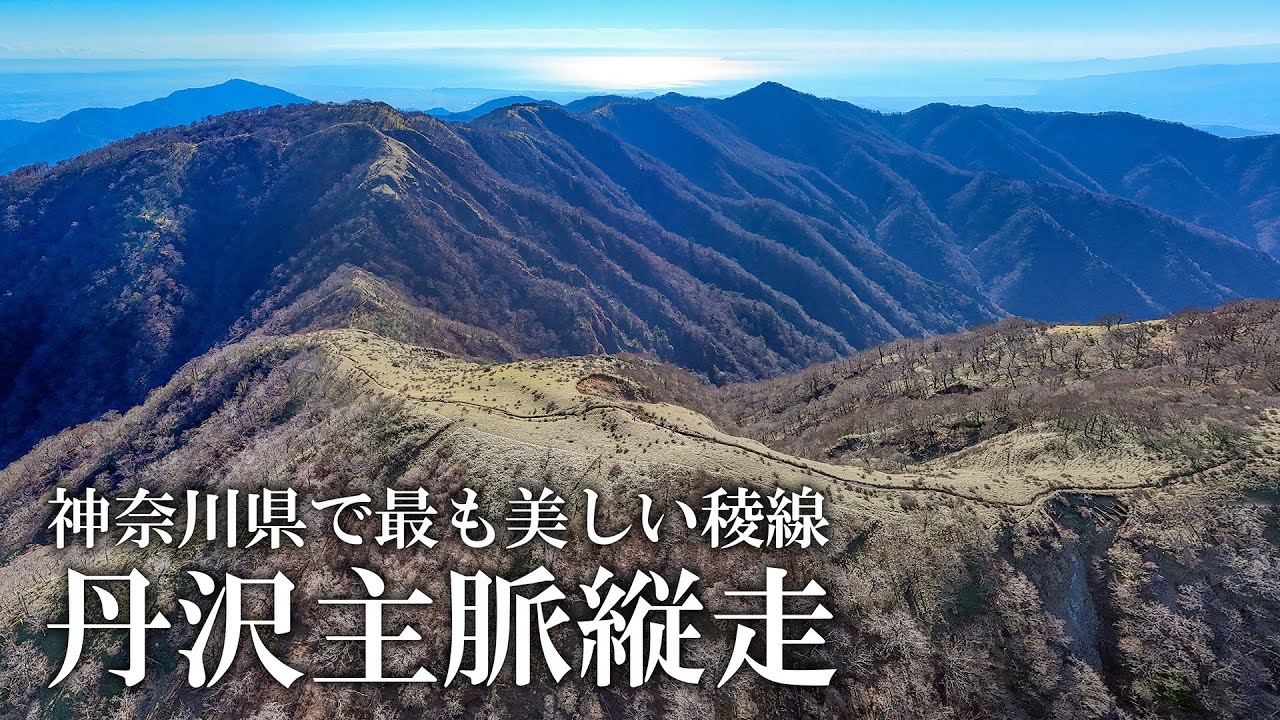 【丹沢主脈縦走】神奈川県で最も美しい稜線を歩く