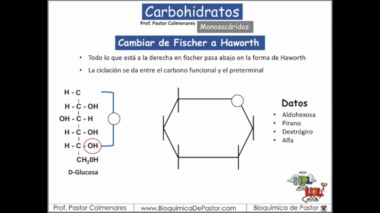 Cambiar de Fischer a Haworth | Carbohidratos Parte VI