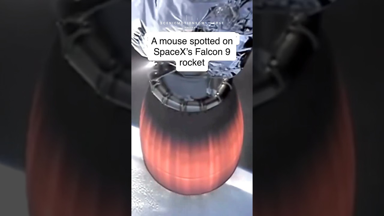 🚀 Mouse Spotted on SpaceX Falcon 9?! 🐭 Real or Glitch? | #Shorts