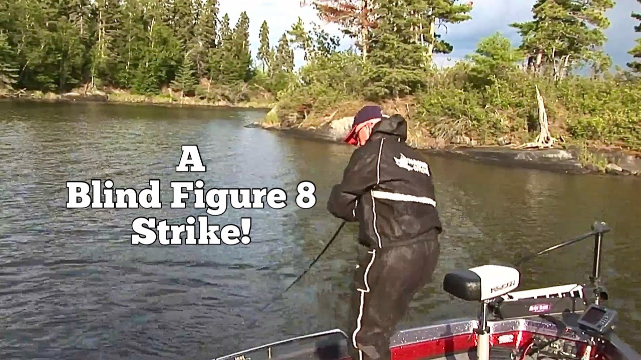 Musky!  Blind Figure Eight