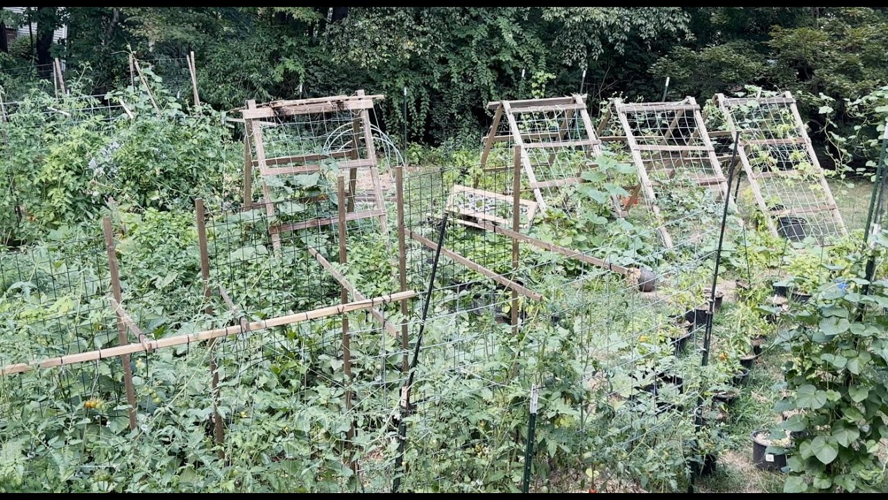 2025_Mid_seasoon_Garden_update