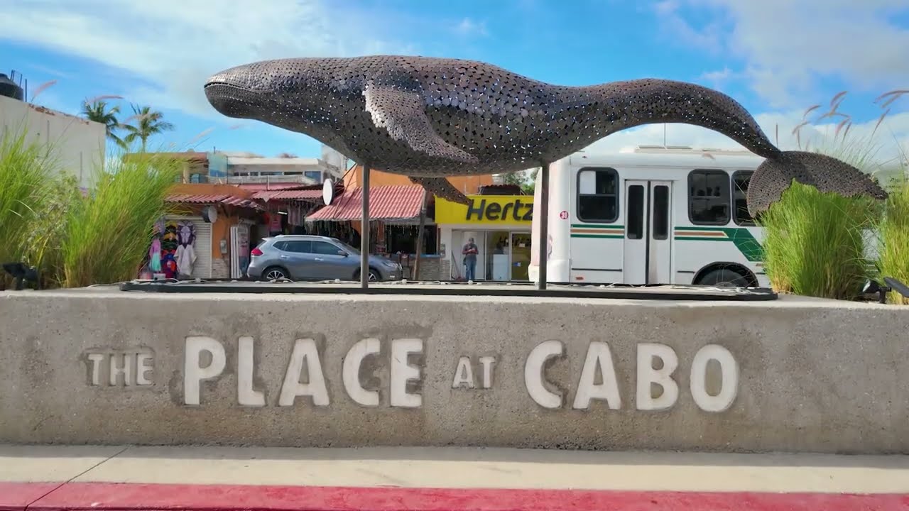 Where Should You Stay in Cabo to Walk to the Best Restaurants and Marina Views? | Paraiso Residences