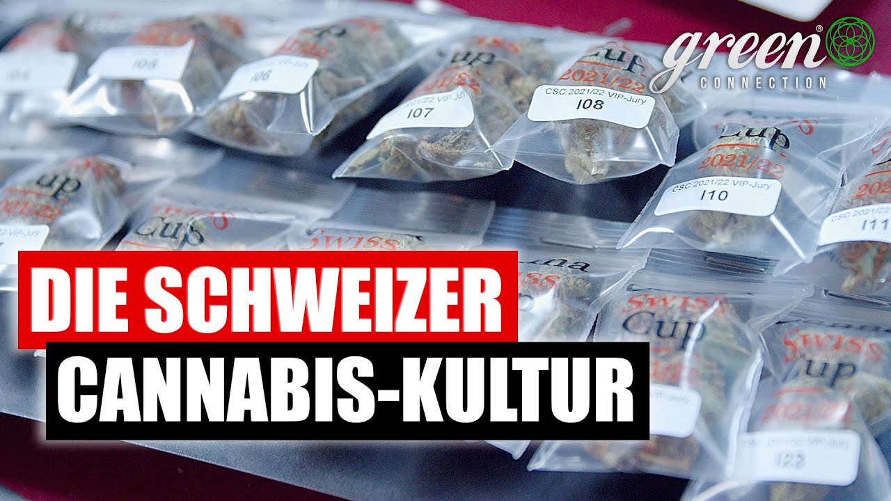 Die Hanfkultur in der Schweiz & Gr&uuml;ndung der CannaTrade | Canna Swiss Cup 2022
