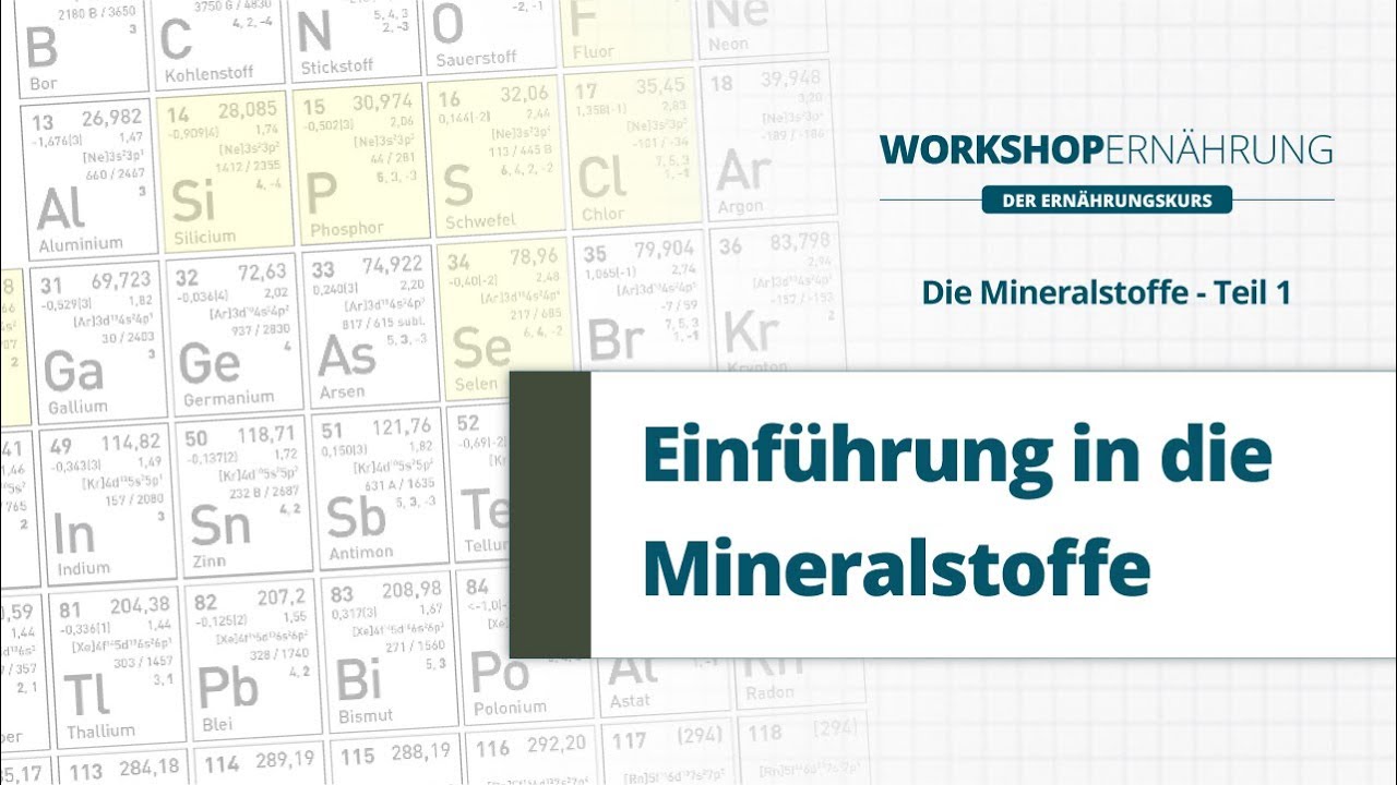 MINERALSTOFFE (1/3): Einf&uuml;hrung in die Mineralstoffe | Workshop Ern&auml;hrung