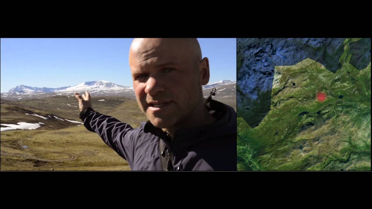 Vixbox Dovrefjell